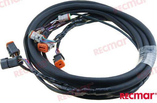 CABLAGGIO ELETTRICO 10 ´