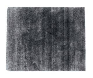 SPATOLA GIAPPONESE MM.40