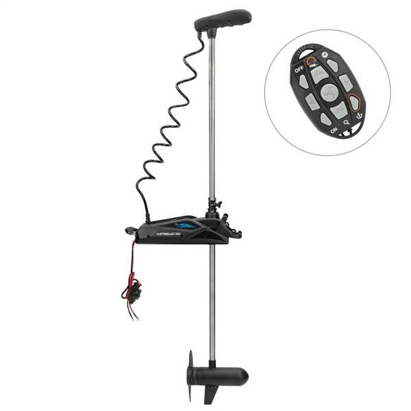 HASWING CAYMAN B 120LB 36V 98"